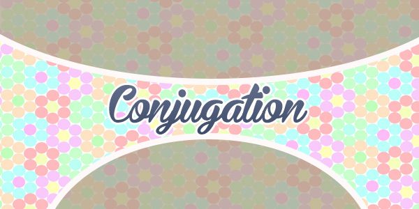 Conjugation